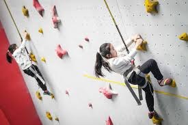 百家乐新手别被赢麻痹（百家乐新手别被胜利冲昏头）