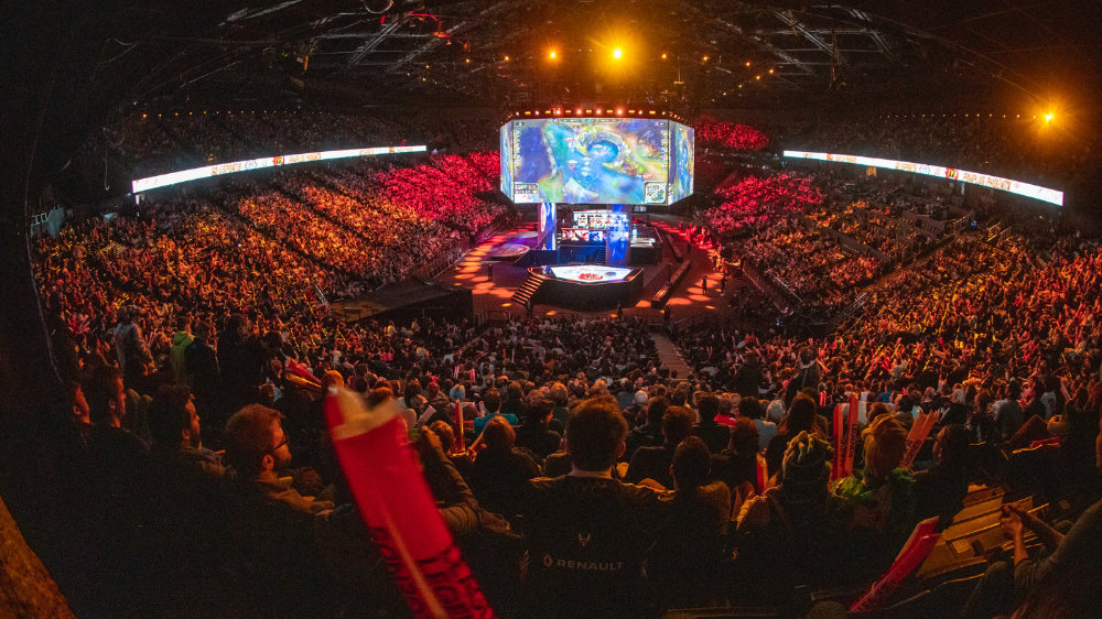 基因改良的 基因改良的