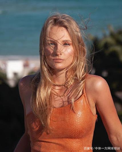 正是如今高 正是如今高